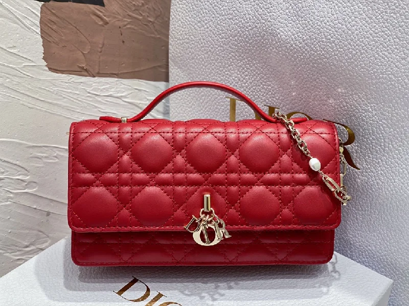 WF - Dior Bag - 238